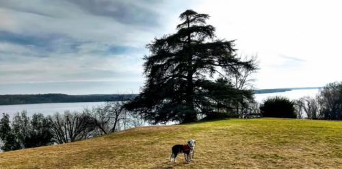 Great view of the Potomac River on a rare sunny day.