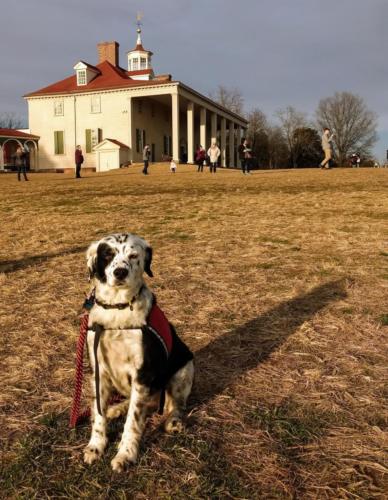 Houdini on the eastern vista of Mount Vernon.